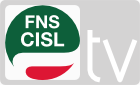 LOGO CISL FNS 2013 TV